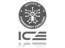 Institute of Cybersecurity Excellence