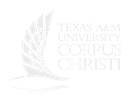 Texas A&M University Corpus Christi
