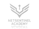 Netsentinel Academy
