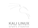 Kali Linux Penetration Testing
