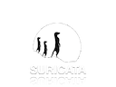 Suricata Industrial IDS